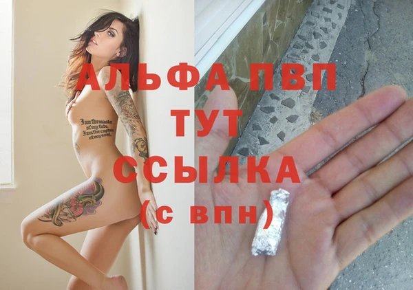ECSTASY Абаза