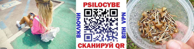 Псилоцибиновые грибы MAGIC MUSHROOMS  Струнино 