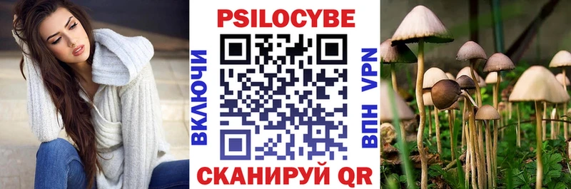Галлюциногенные грибы Psilocybine cubensis Струнино